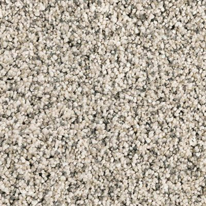 Essential Factors I in Silver Dollar Carpet