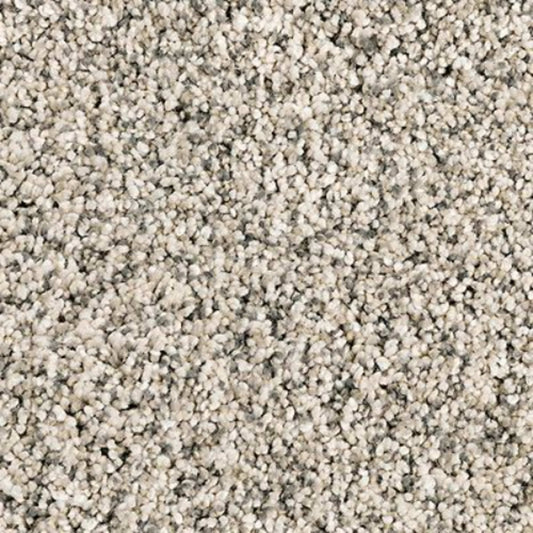 Essential Factors I in Silver Dollar Carpet
