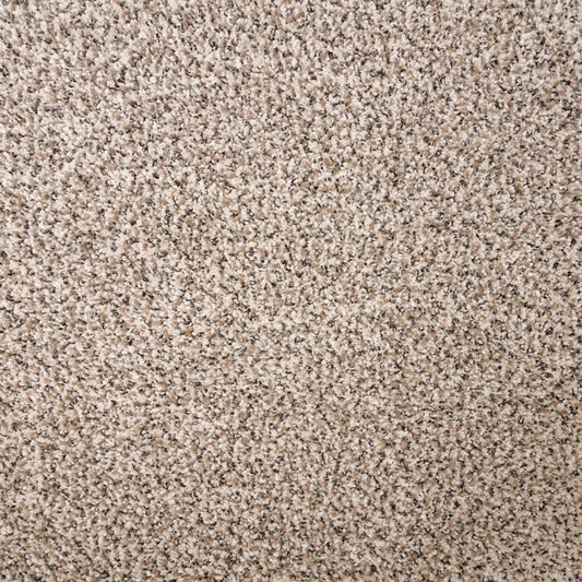 Rustic Edge II in Desert Scene Carpet