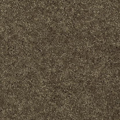 Essential Collection in Tumbleweed Carpet
