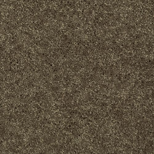 Essential Collection in Tumbleweed Carpet