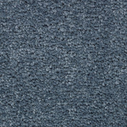 Vivid Instinct in Venetian Carpet