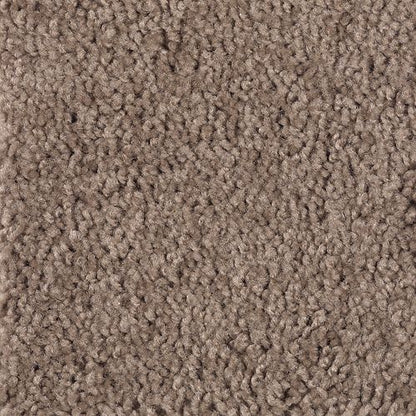 Timeless Idea in Dried Peat Carpet