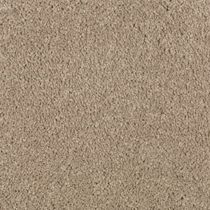 Nature's Charm I in Hearth Beige Carpet