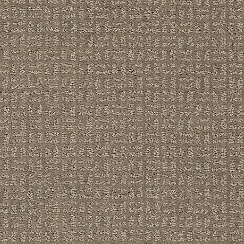 Ideal Dream in Taupe Shadow