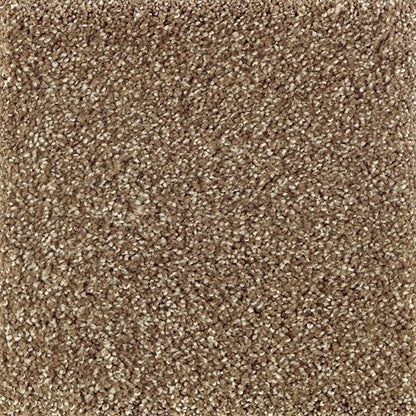 Native Allure I in Nutmeg               Carpet