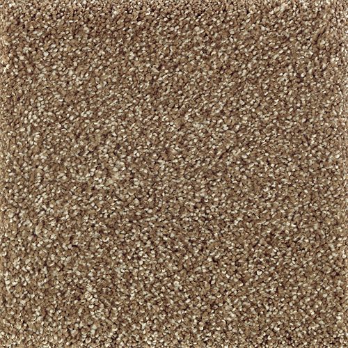 Native Allure I in Nutmeg               Carpet