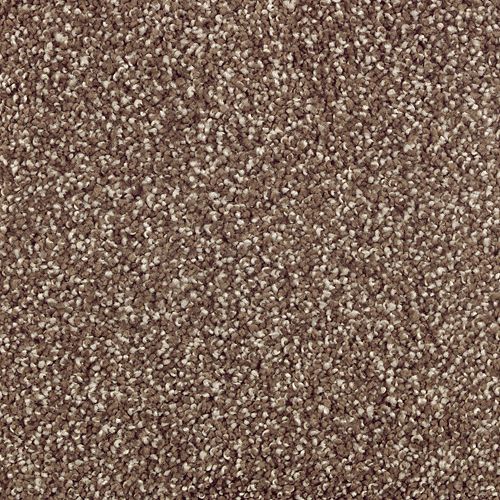 Native Allure II in Dried Peat