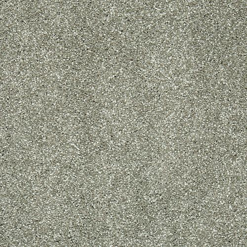 Native Allure II in Stormwatch Carpet