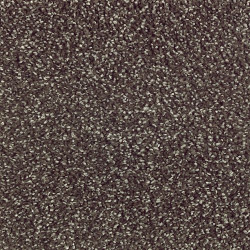 Native Allure II in Wrought Iron