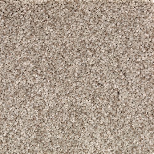 Natural Accents II in Corinthian Carpet
