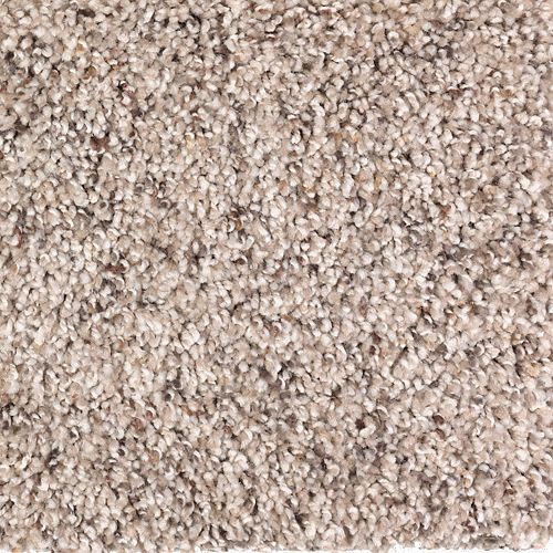 Soft Impressions I in Hidden Treasure Carpet