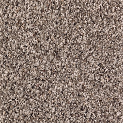 Soft Impressions II in Antique Earth Carpet