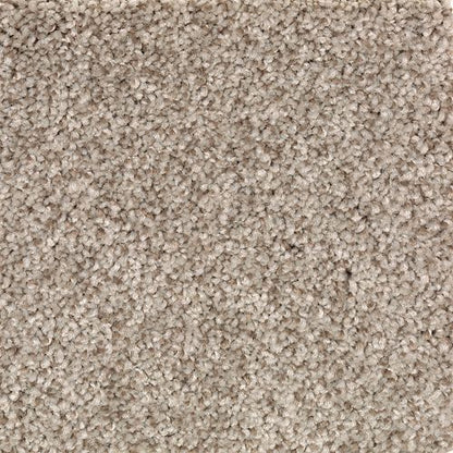 Natural Accents I in Corinthian Carpet
