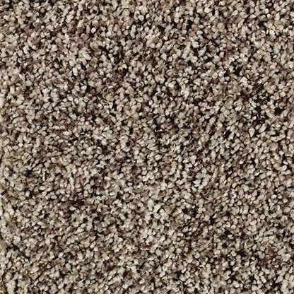 Gracefully Soft I in Brazilian Coffee Carpet