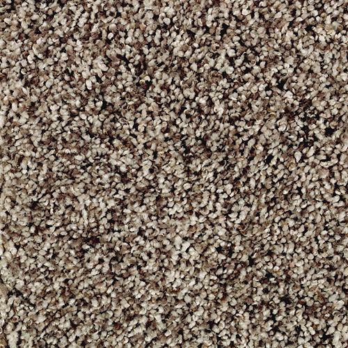 Gracefully Soft I in Brazilian Coffee Carpet