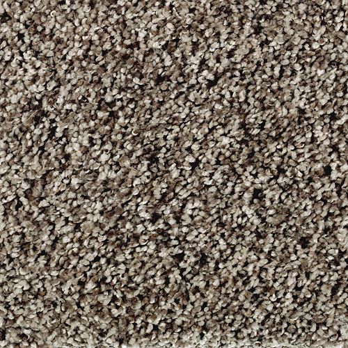 Gracefully Soft II in Sand Dollar Carpet