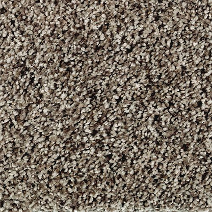 Gracefully Soft II in Sand Dollar Carpet