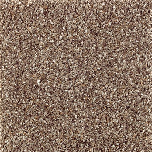 Organic Attraction I in Walnut Shell Carpet