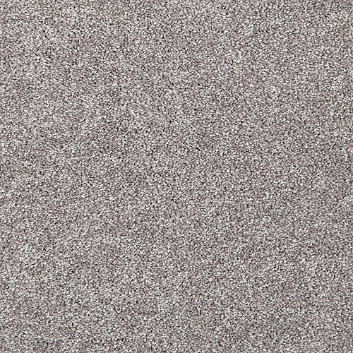 Simple Decision in Taupe Shadow Carpet