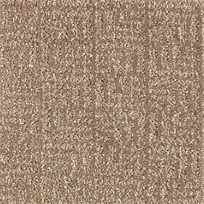Casual Culture in Rich Earth Carpet