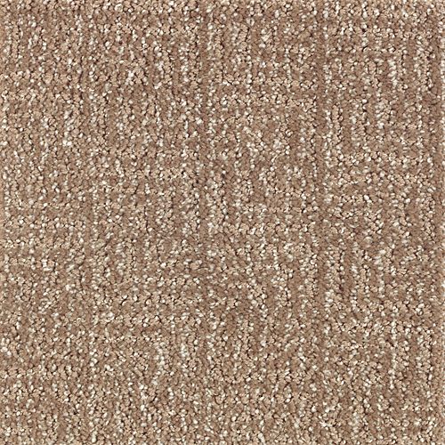 Casual Culture in Rich Earth Carpet