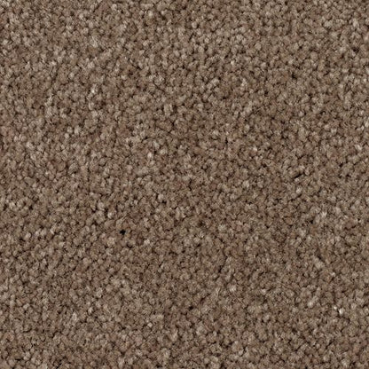 Creative Factor I in Ghost Town Carpet