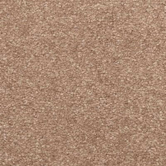 Creative Outlet II in Desert Mud Carpet