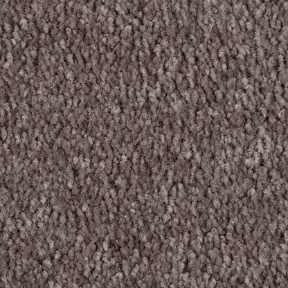 Simple Touch III in Iron Rust Carpet