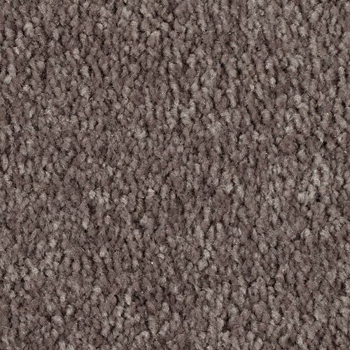 Simple Touch III in Iron Rust Carpet
