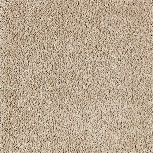 Luxurious Class in Victorian Beige Carpet