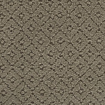 Chic Charm in Mystique Carpet