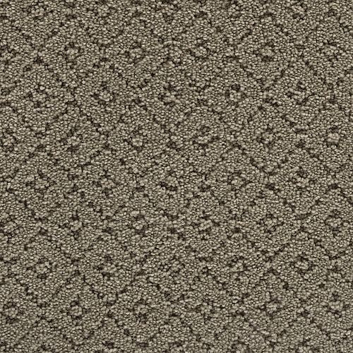 Chic Charm in Mystique Carpet