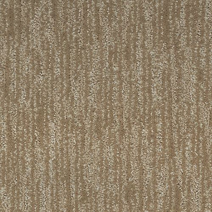 Enchanting Regard in Hearth Beige