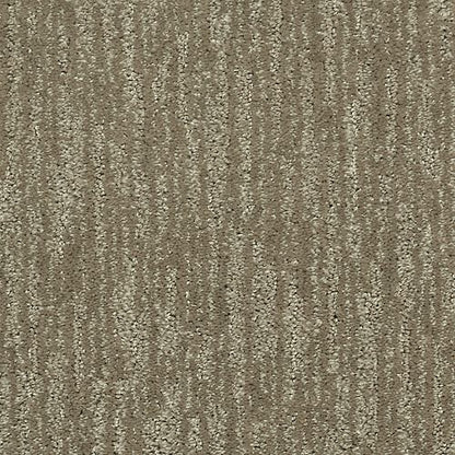 Enchanting Regard in Urban Taupe