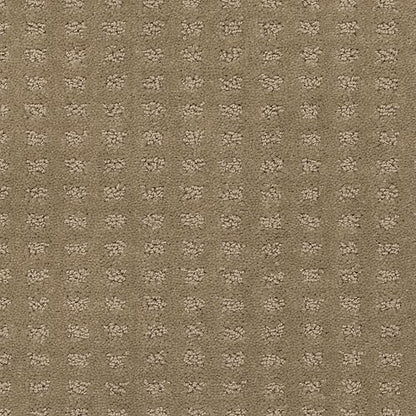 Popular Appearance in Montego Bay Carpet