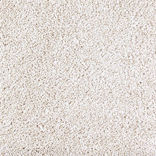 Luxurious Array in Fine Silk Carpet