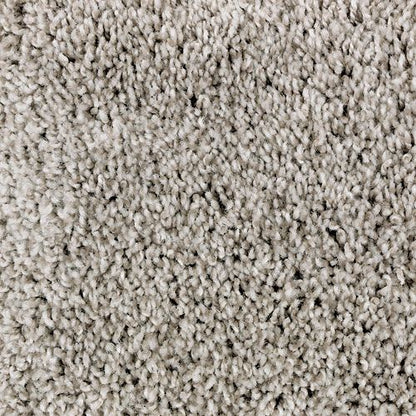 Authentic Idea II in True Taupe Carpet