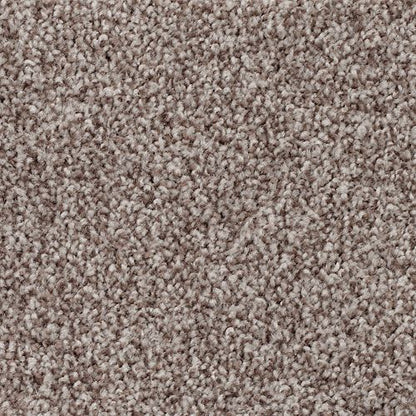 Natural Thought in Bittersweet Carpet