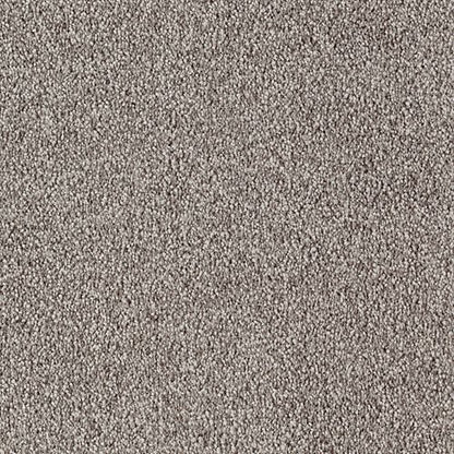 Eloquent Color in Espresso Carpet