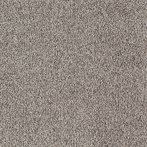 Eloquent Color in Espresso Carpet