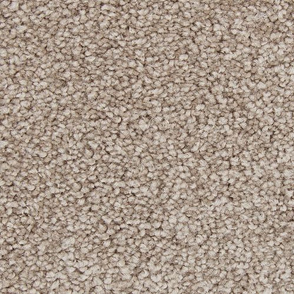 Appealing Glamor in Mushroom Cap Carpet