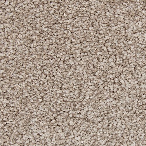 Appealing Glamor in Mushroom Cap Carpet