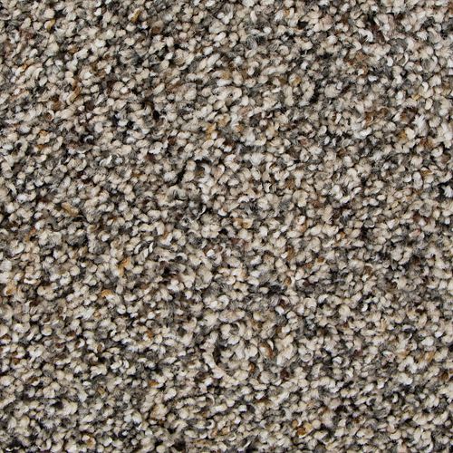 Engaging Character in Doe Carpet