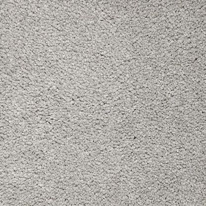Splendid Freedom in Stoneworks Carpet
