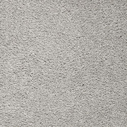 Splendid Freedom in Stoneworks Carpet