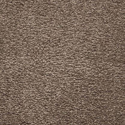 Awaited Delight in Steeplechase Carpet