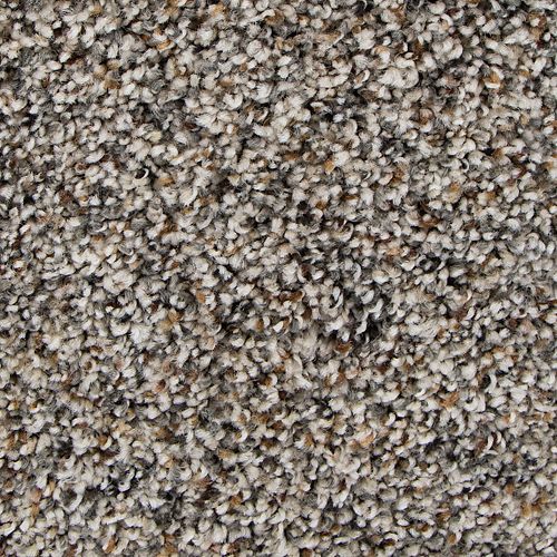 Enchanting Spirit in Foxtail Carpet