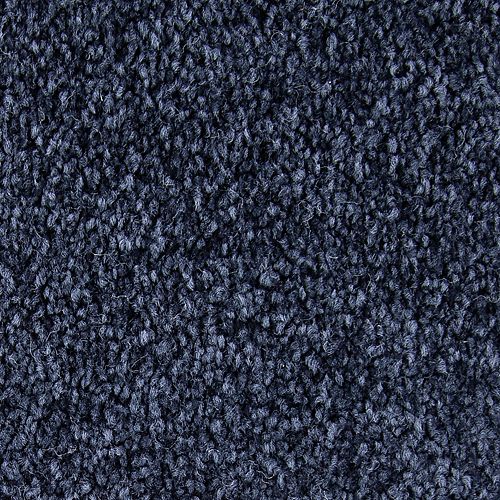 Inviting Charisma in Classic Navy Carpet