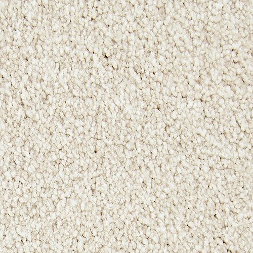 Inviting Charisma in Balsam Beige